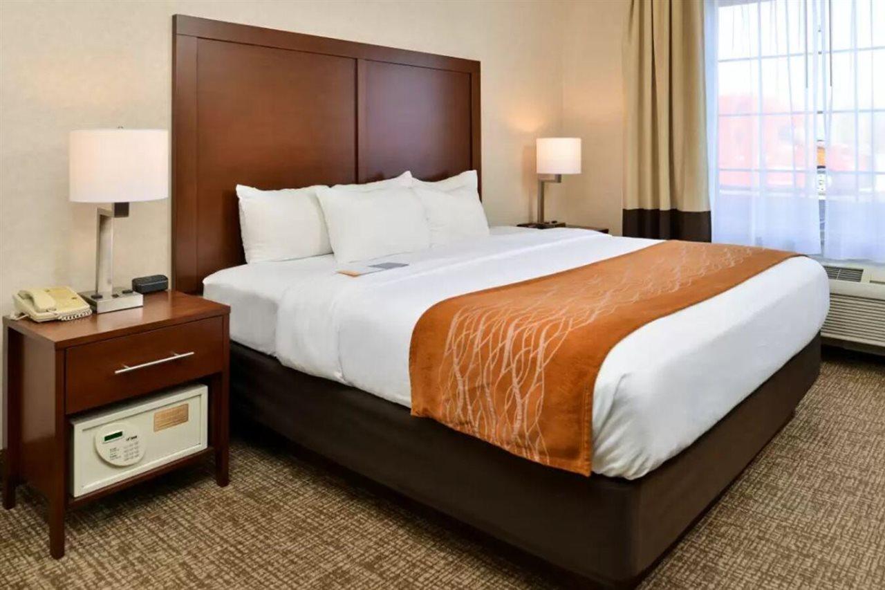 Comfort Inn & Suites Madison North Deforest Eksteriør billede
