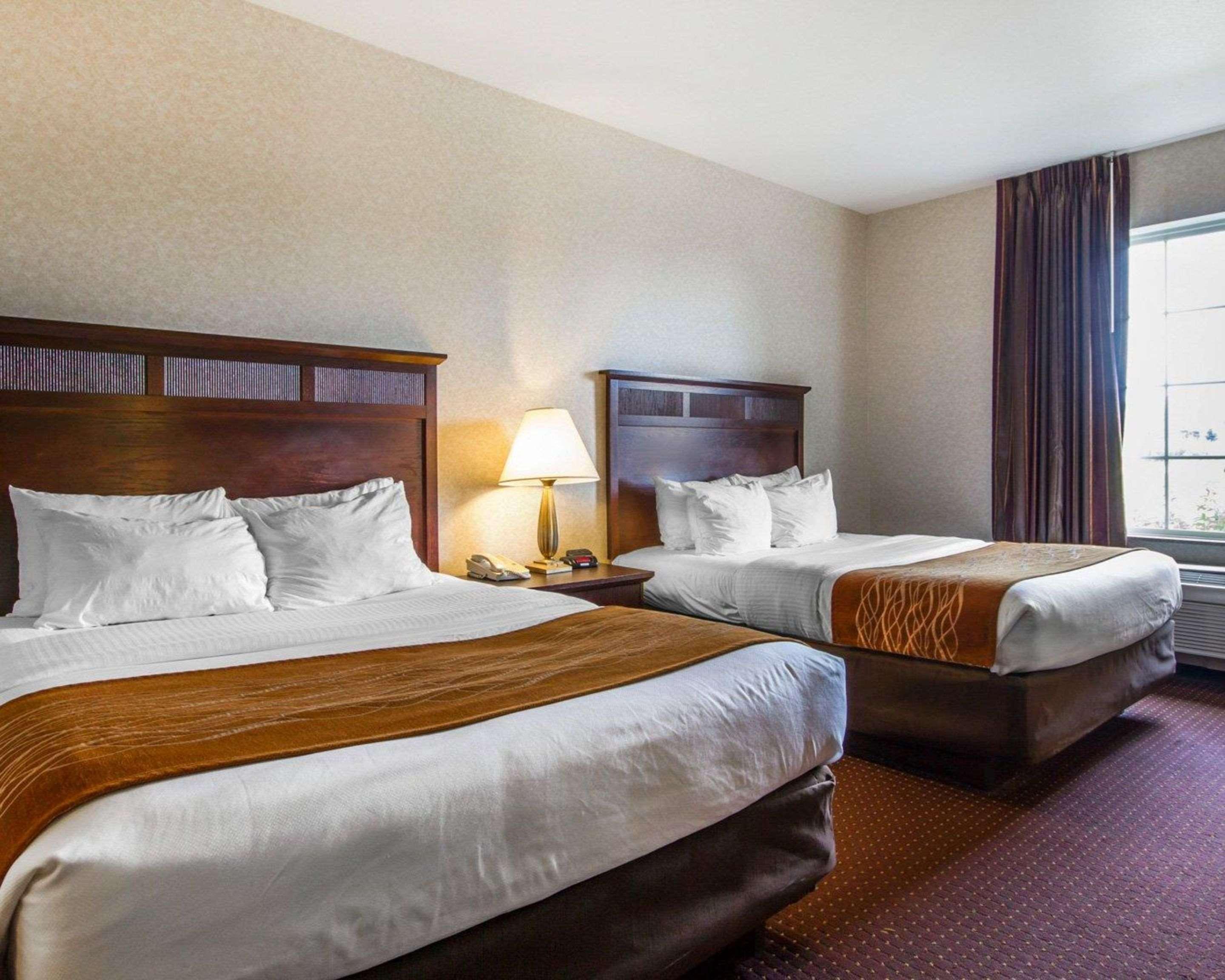 Comfort Inn & Suites Madison North Deforest Eksteriør billede