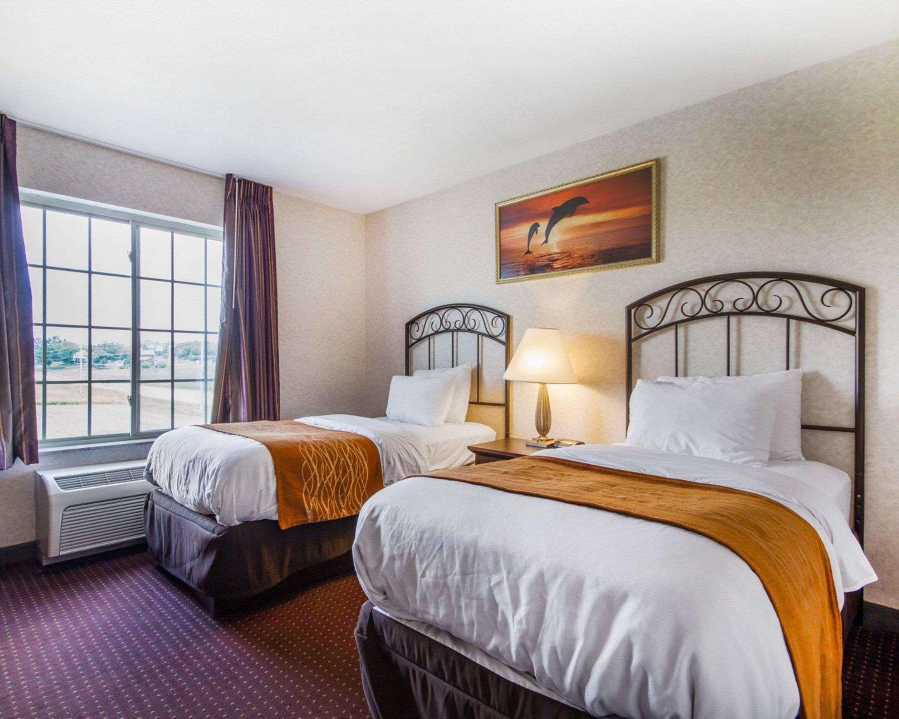 Comfort Inn & Suites Madison North Deforest Eksteriør billede