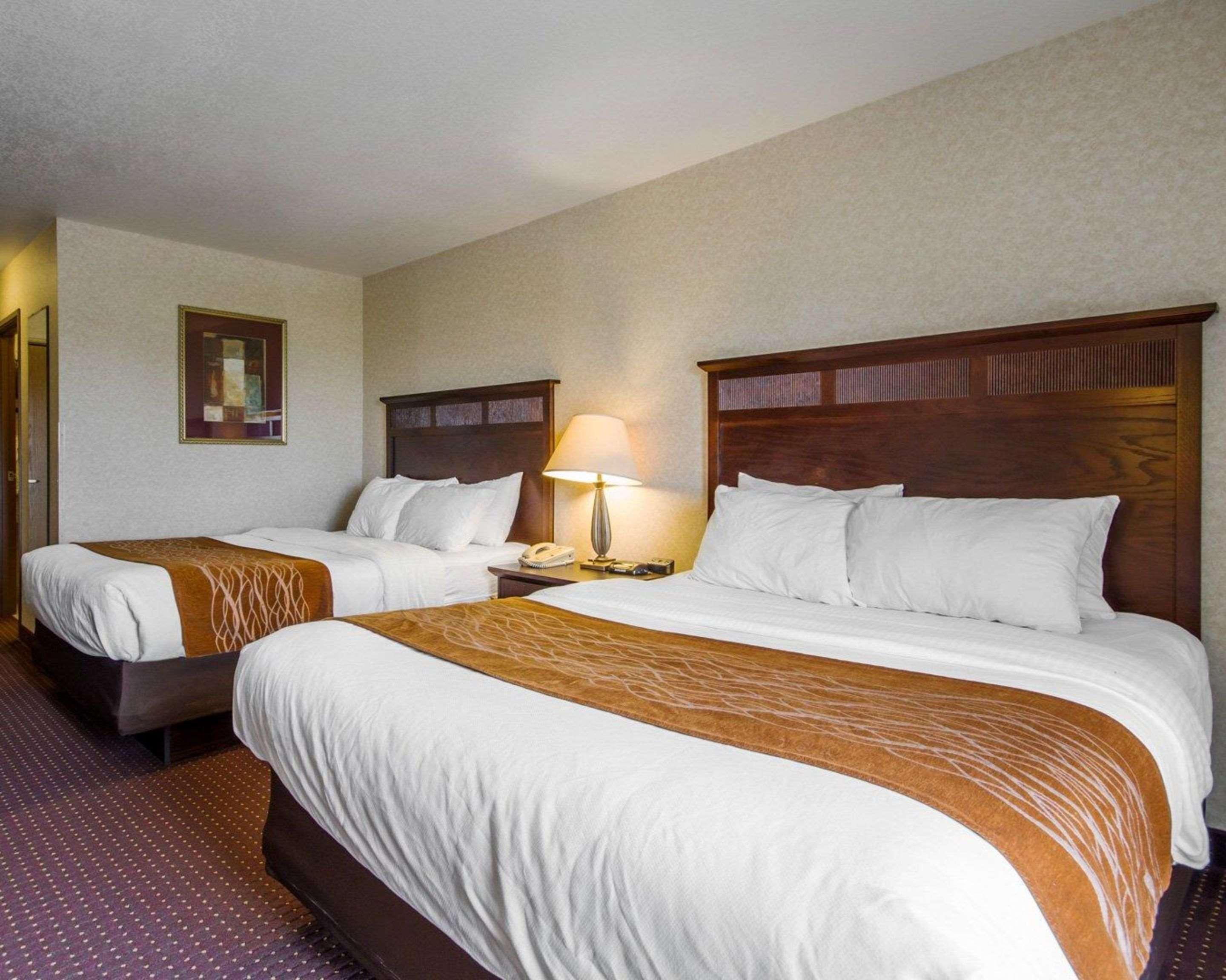Comfort Inn & Suites Madison North Deforest Eksteriør billede