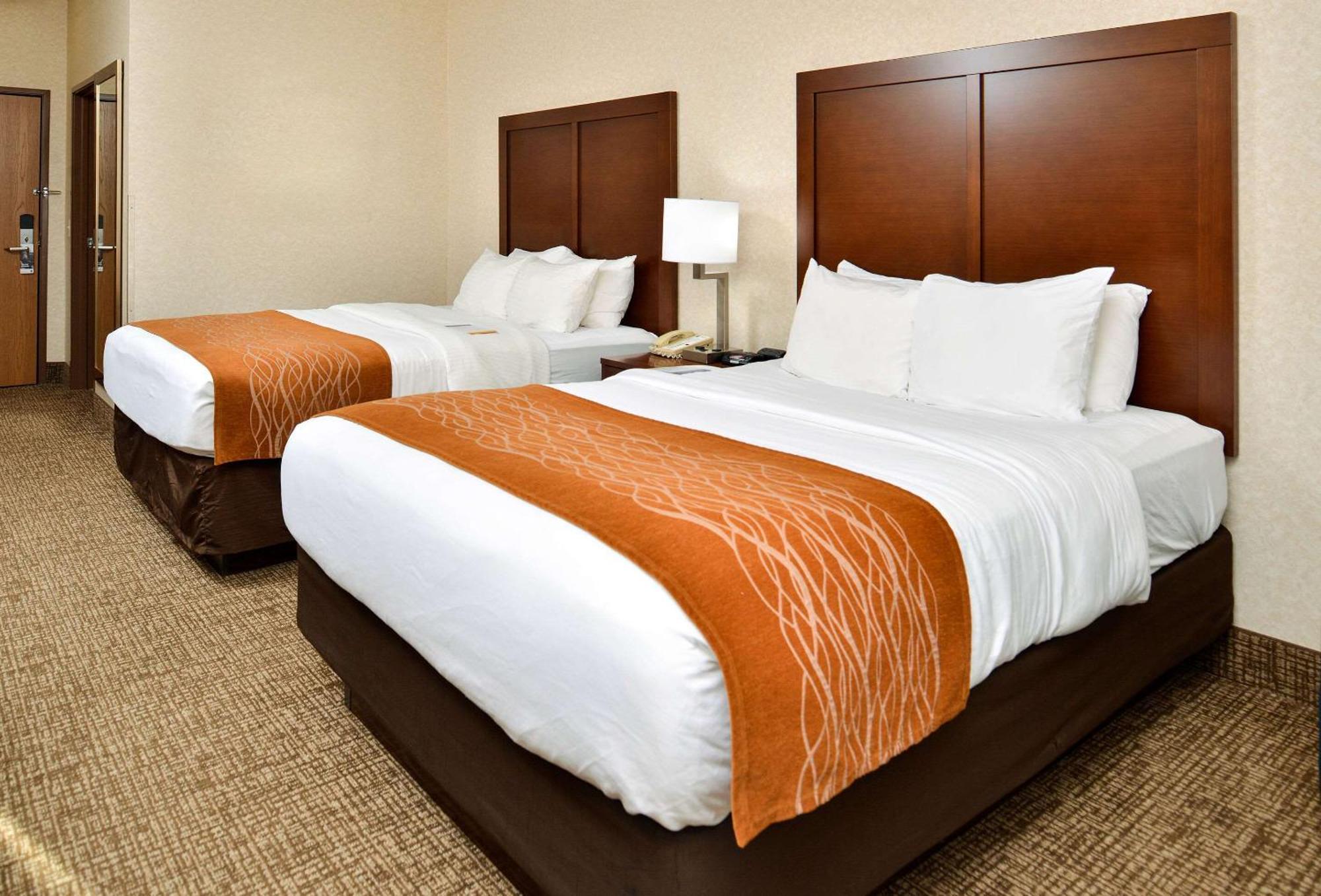 Comfort Inn & Suites Madison North Deforest Eksteriør billede
