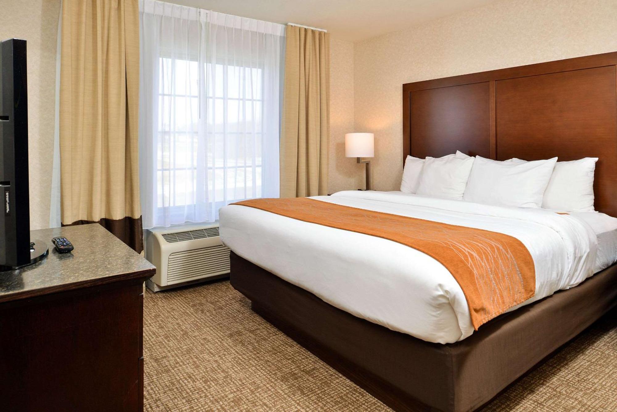 Comfort Inn & Suites Madison North Deforest Eksteriør billede